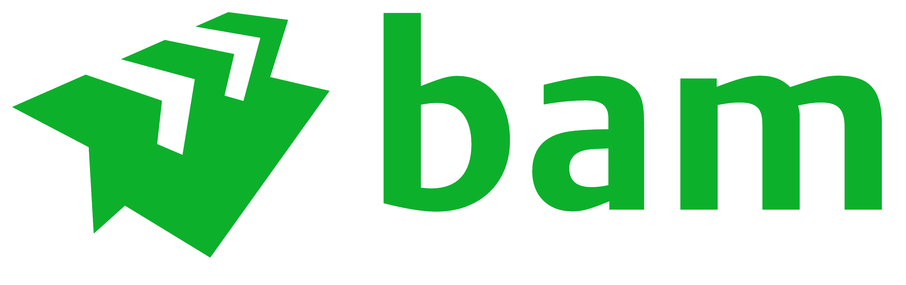 Royal BAM